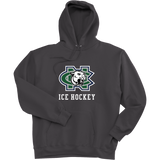 FRC Colts Neck Super Heavyweight Fleece Hoodie