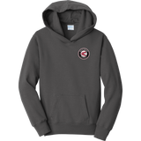 Westchester Express Youth Fan Favorite Fleece Pullover Hooded Sweatshirt